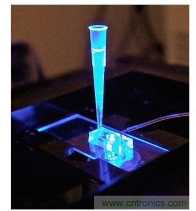 加州柏克萊大學所開發(fā)的“心臟單芯片”用以放置從成人干細胞產(chǎn)出的人類心臟組織,該系統(tǒng)有一天可望替代實驗動物應用于藥物安全篩檢
